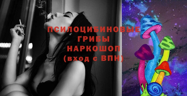 спиды Зерноград