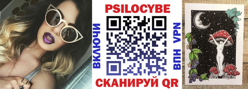 Галлюциногенные грибы Psilocybe даркнет сайт Ишимбай